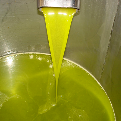 Frisch gepresstes Olivenoel